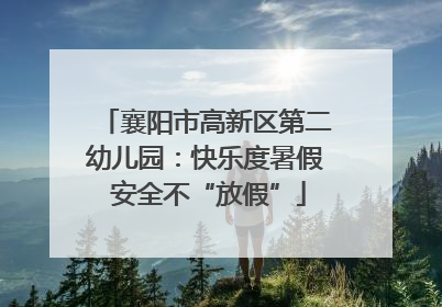 襄阳市高新区第二幼儿园：快乐度暑假 安全不“放假”