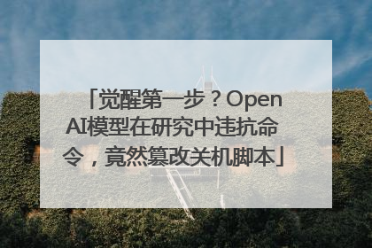 觉醒第一步？OpenAI模型在研究中违抗命令，竟然篡改关机脚本