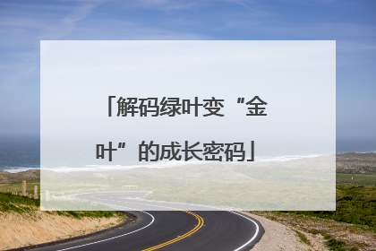 解码绿叶变“金叶”的成长密码