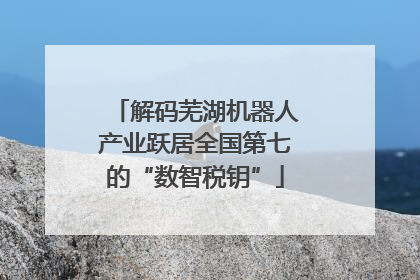 解码芜湖机器人产业跃居全国第七的“数智税钥”
