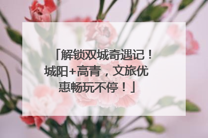 解锁双城奇遇记！城阳+高青，文旅优惠畅玩不停！