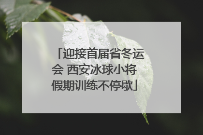 迎接首届省冬运会 西安冰球小将假期训练不停歇