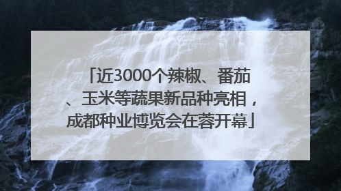 近3000个辣椒、番茄、玉米等蔬果新品种亮相，成都种业博览会在蓉开幕