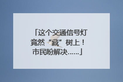 这个交通信号灯竟然“藏”树上！市民盼解决……
