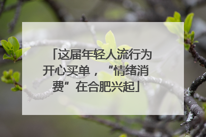 这届年轻人流行为开心买单，“情绪消费”在合肥兴起
