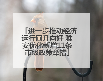 进一步推动经济运行回升向好 雅安优化新增11条市级政策举措