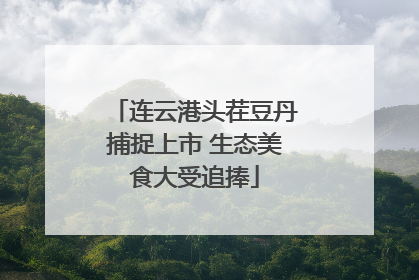 连云港头茬豆丹捕捉上市 生态美食大受追捧
