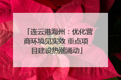 连云港海州：优化营商环境见实效 重点项目建设热潮涌动