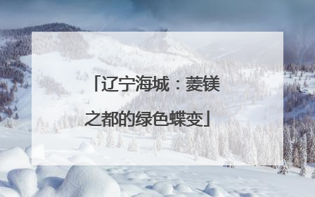 辽宁海城：菱镁之都的绿色蝶变