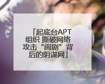 起底台APT组织 撕破网络攻击“闹剧”背后的阴谋网
