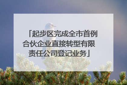 起步区完成全市首例合伙企业直接转型有限责任公司登记业务