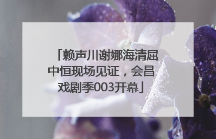 赖声川谢娜海清屈中恒现场见证，会昌戏剧季003开幕