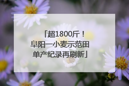 超1800斤！阜阳一小麦示范田单产纪录再刷新