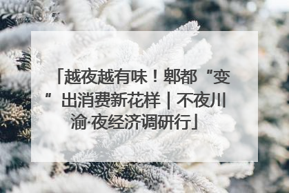 越夜越有味！郫都“变”出消费新花样｜不夜川渝·夜经济调研行
