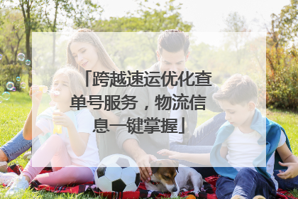 跨越速运优化查单号服务，物流信息一键掌握