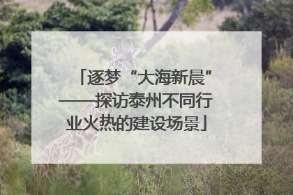 逐梦“大海新晨”——探访泰州不同行业火热的建设场景