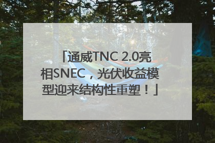 通威TNC 2.0亮相SNEC，光伏收益模型迎来结构性重塑！