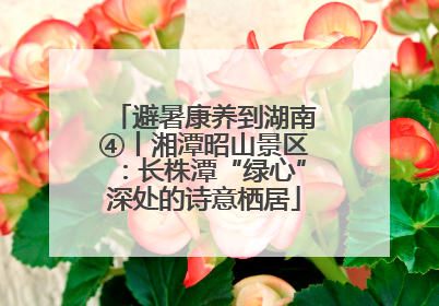 避暑康养到湖南④丨湘潭昭山景区：长株潭“绿心”深处的诗意栖居