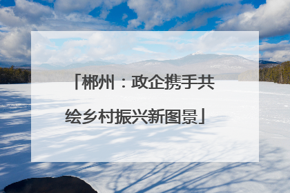 郴州：政企携手共绘乡村振兴新图景