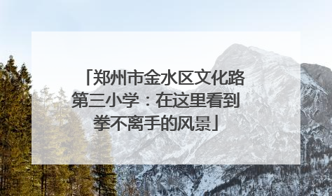 郑州市金水区文化路第三小学：在这里看到拳不离手的风景