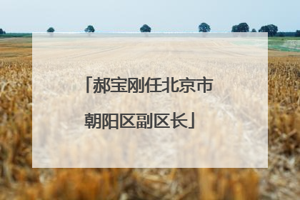 郝宝刚任北京市朝阳区副区长