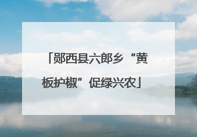 郧西县六郎乡“黄板护椒”促绿兴农