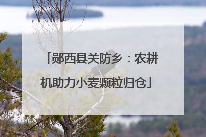 郧西县关防乡：农耕机助力小麦颗粒归仓