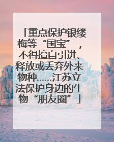 重点保护银缕梅等“国宝”，不得擅自引进、释放或丢弃外来物种……江苏立法保护身边的生物“朋友圈”