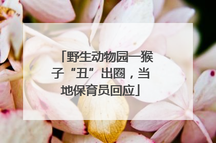 野生动物园一猴子“丑”出圈，当地保育员回应