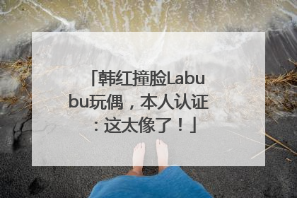 韩红撞脸Labubu玩偶，本人认证：这太像了！