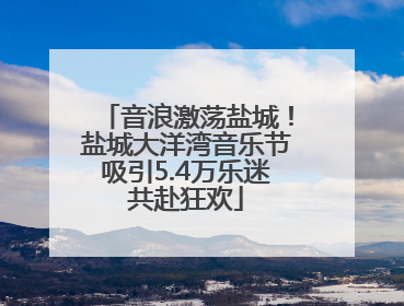 音浪激荡盐城！盐城大洋湾音乐节吸引5.4万乐迷共赴狂欢