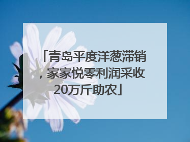 青岛平度洋葱滞销，家家悦零利润采收20万斤助农