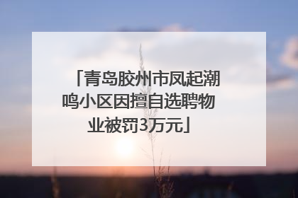 青岛胶州市凤起潮鸣小区因擅自选聘物业被罚3万元