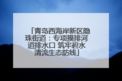 青岛西海岸新区隐珠街道：专项摸排河道排水口 筑牢碧水清流生态防线