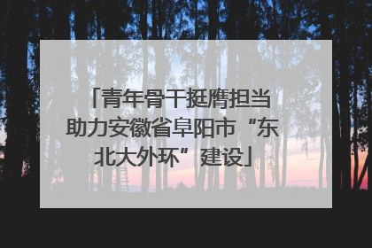 青年骨干挺膺担当 助力安徽省阜阳市“东北大外环”建设