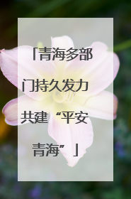 青海多部门持久发力共建“平安青海”