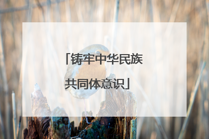 铸牢中华民族共同体意识
