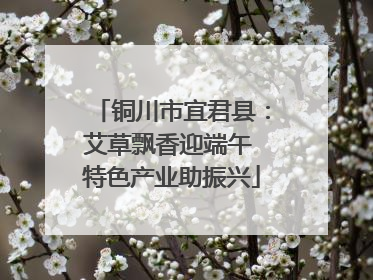 铜川市宜君县：艾草飘香迎端午 特色产业助振兴