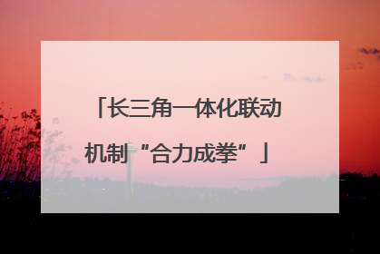 长三角一体化联动机制“合力成拳”