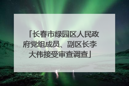 长春市绿园区人民政府党组成员、副区长李大伟接受审查调查