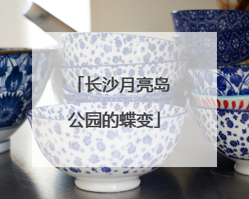 长沙月亮岛公园的蝶变