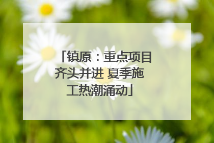 镇原：重点项目齐头并进 夏季施工热潮涌动