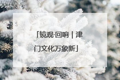 镜观·回响｜津门文化万象新