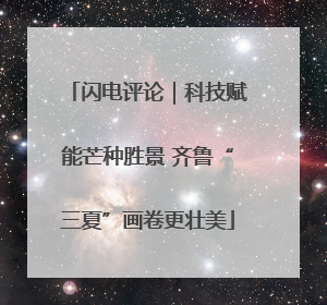 闪电评论｜科技赋能芒种胜景 齐鲁“三夏”画卷更壮美