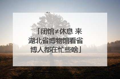 闭馆≠休息 来湖北省博物馆看省博人都在忙些啥