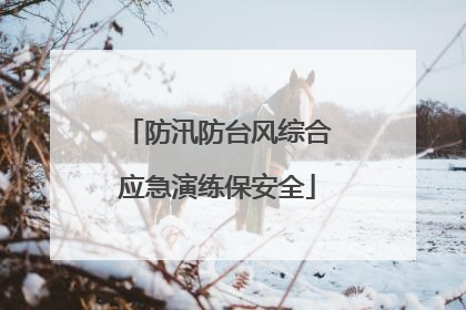 防汛防台风综合应急演练保安全