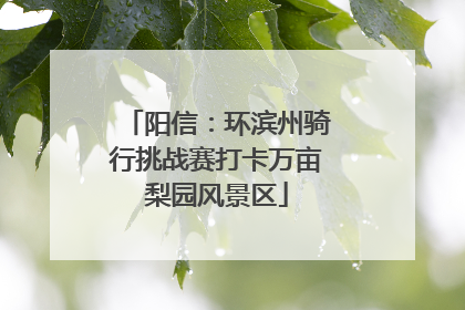 阳信：环滨州骑行挑战赛打卡万亩梨园风景区