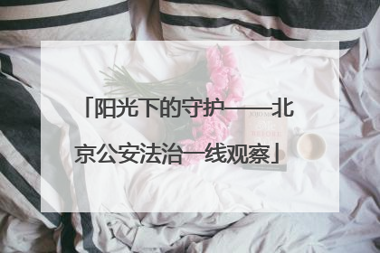 阳光下的守护——北京公安法治一线观察