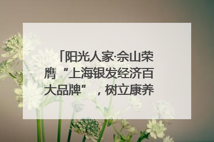 阳光人家·佘山荣膺“上海银发经济百大品牌”，树立康养行业新标杆