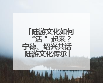 陆游文化如何“活 ”起来？宁德、绍兴共话陆游文化传承